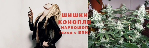 PSILOCYBIN Богданович