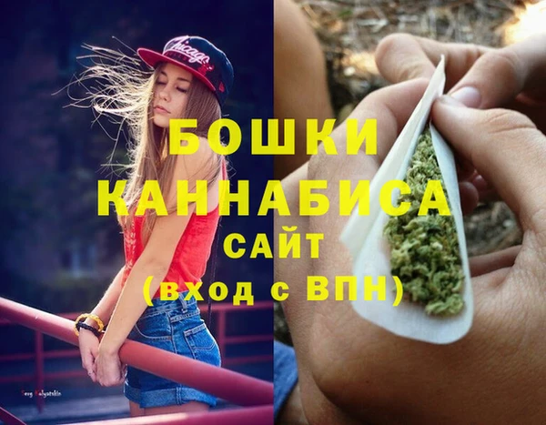 PSILOCYBIN Богданович