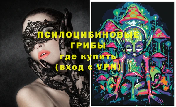 дурь Белокуриха